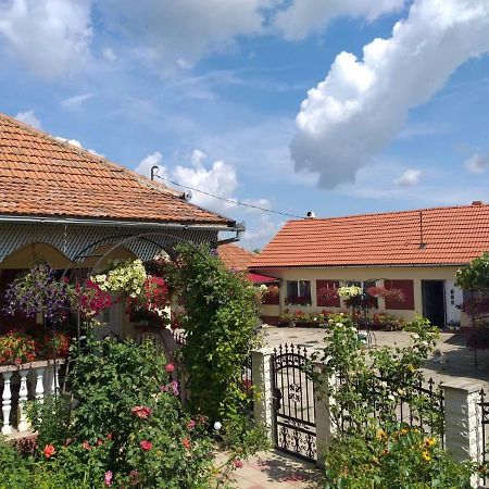 La Mosu-N Retezat Guest House Nucsoara  Exterior photo