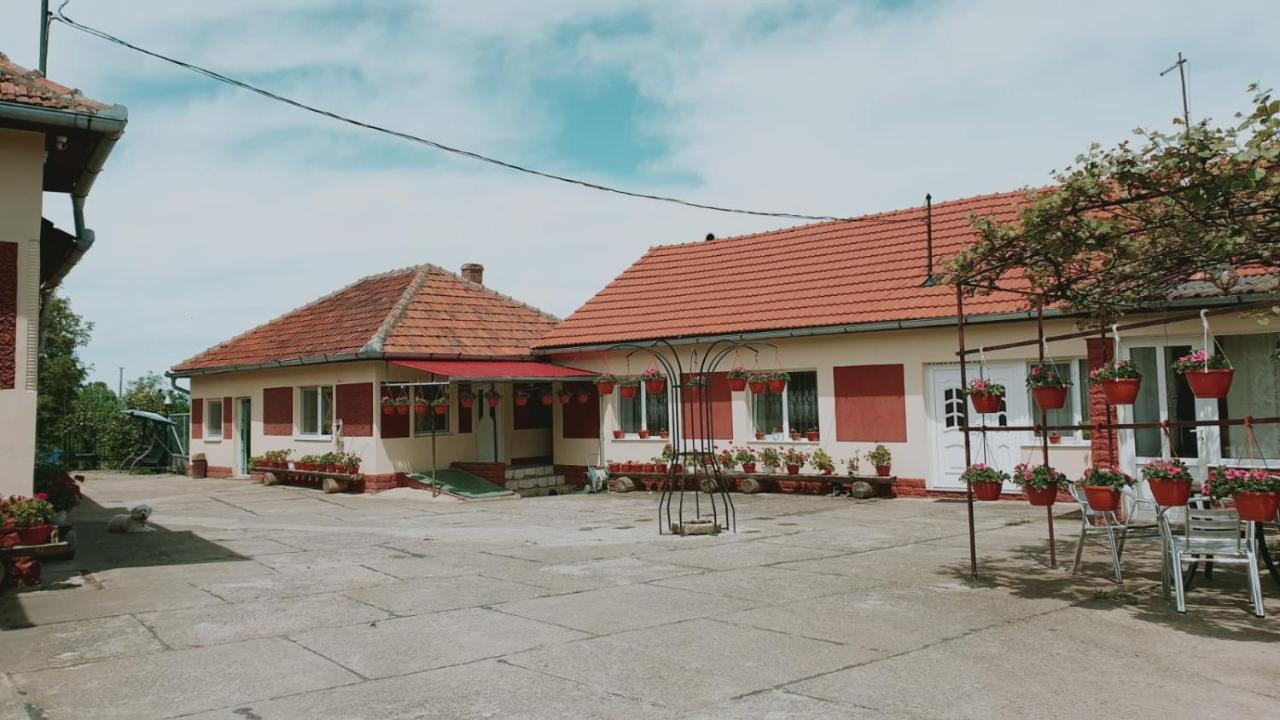 La Mosu-N Retezat Guest House Nucsoara  Exterior photo