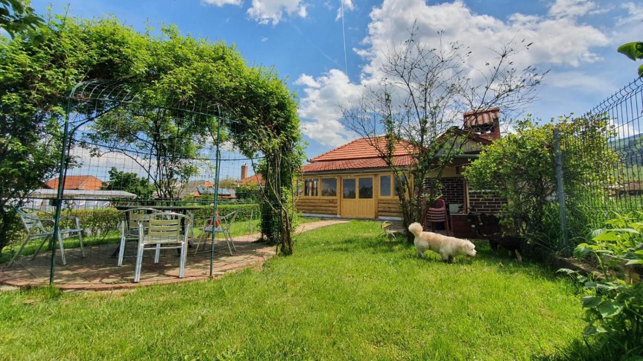 La Mosu-N Retezat Guest House Nucsoara  Exterior photo