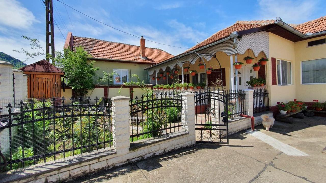La Mosu-N Retezat Guest House Nucsoara  Exterior photo