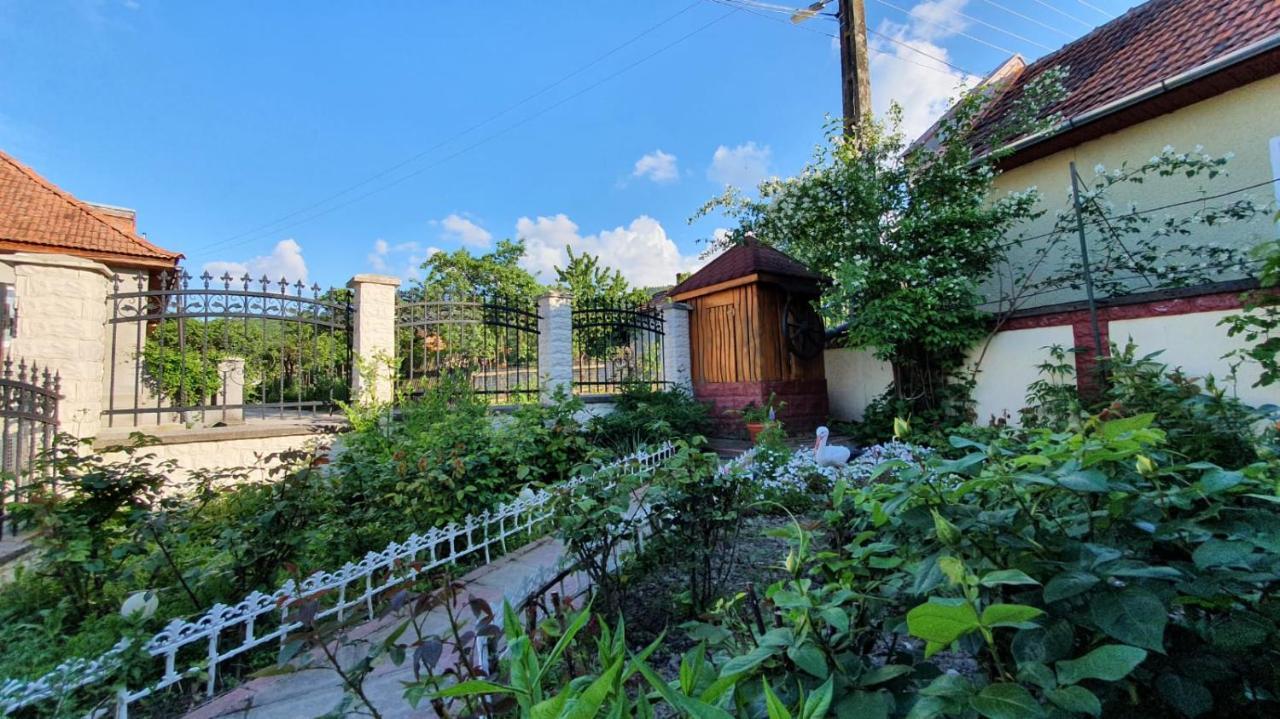 La Mosu-N Retezat Guest House Nucsoara  Exterior photo