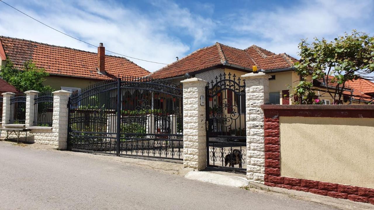 La Mosu-N Retezat Guest House Nucsoara  Exterior photo