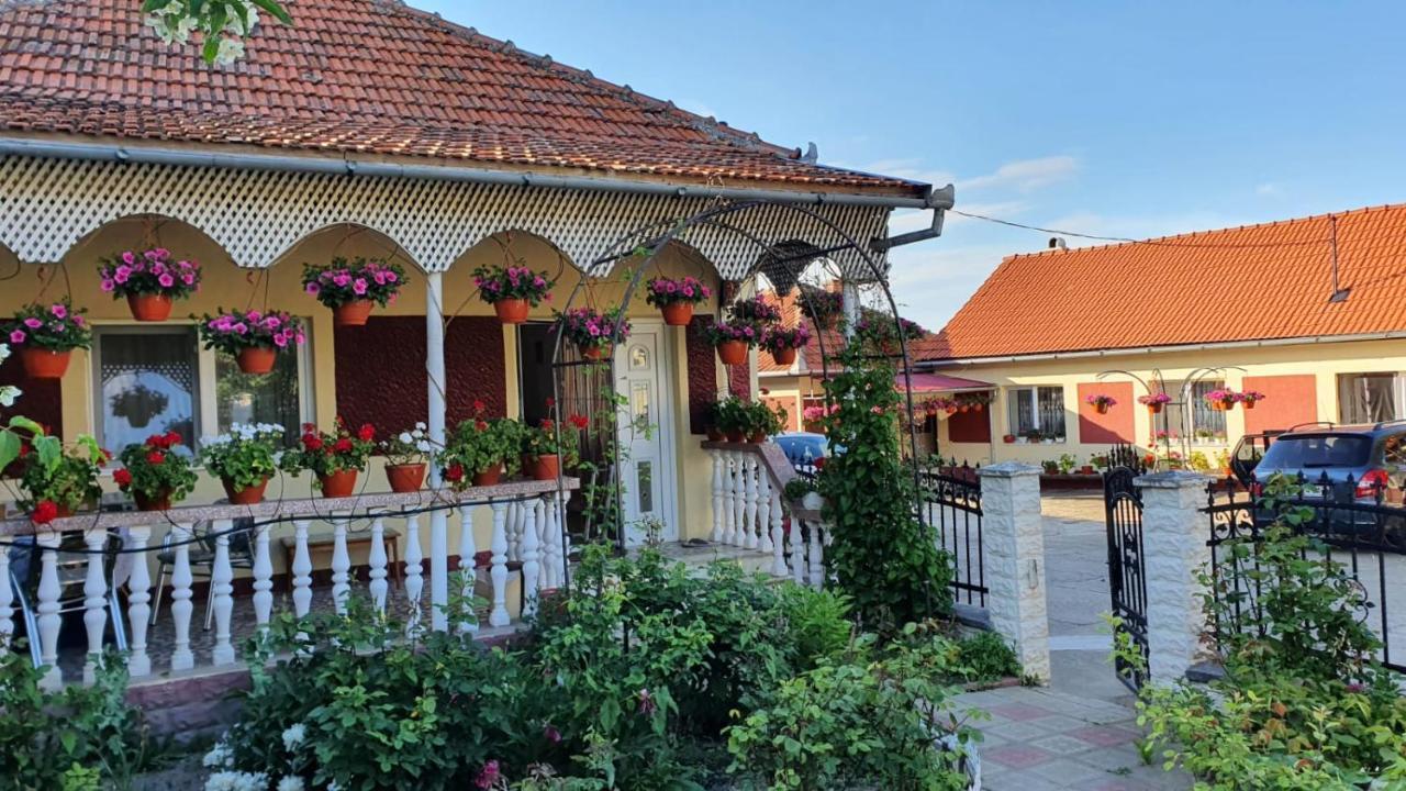 La Mosu-N Retezat Guest House Nucsoara  Exterior photo