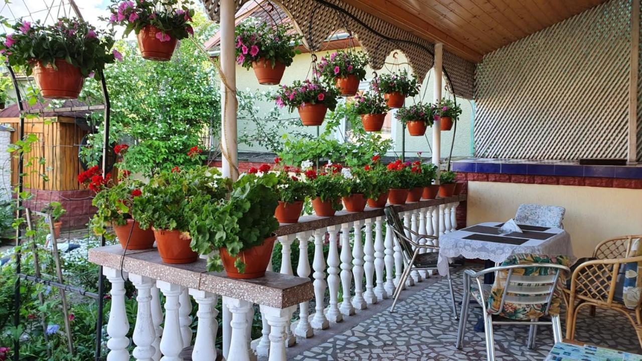 La Mosu-N Retezat Guest House Nucsoara  Exterior photo