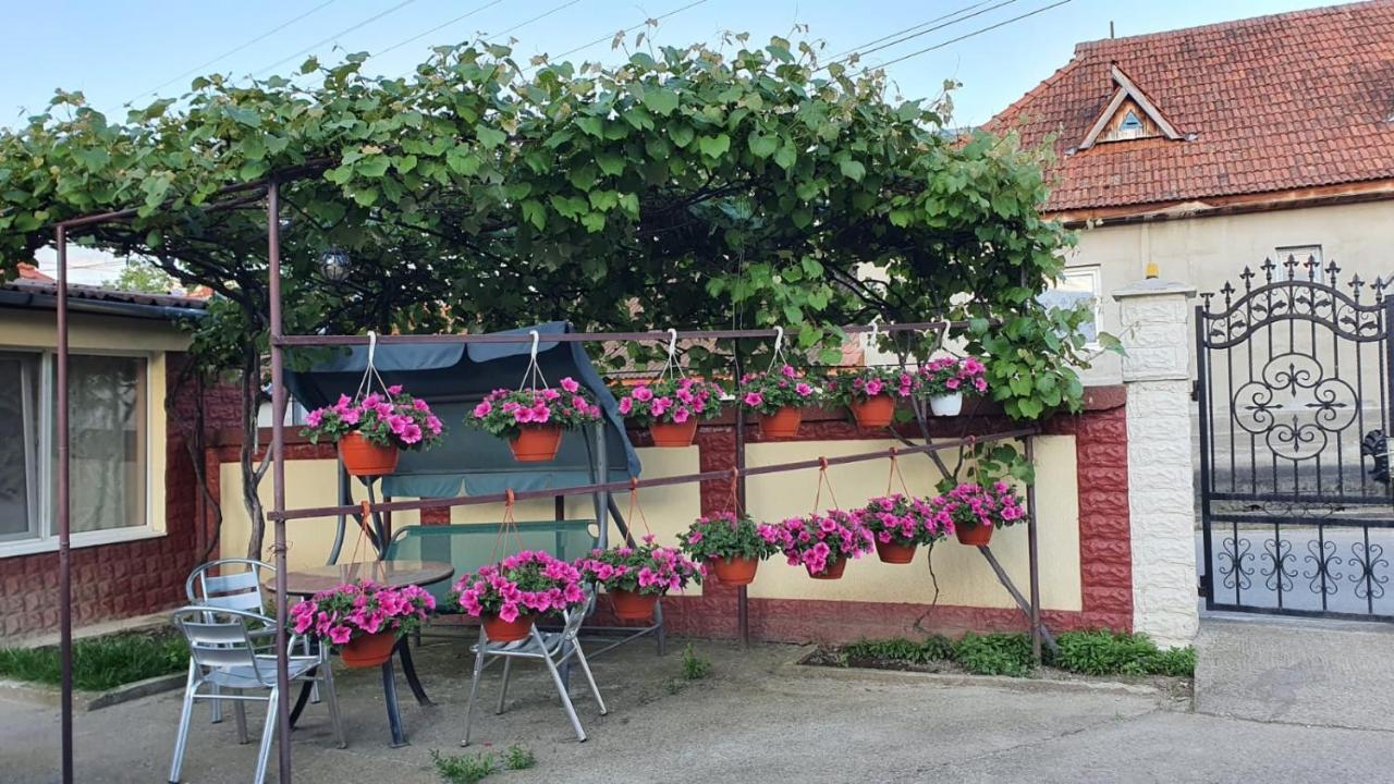 La Mosu-N Retezat Guest House Nucsoara  Exterior photo
