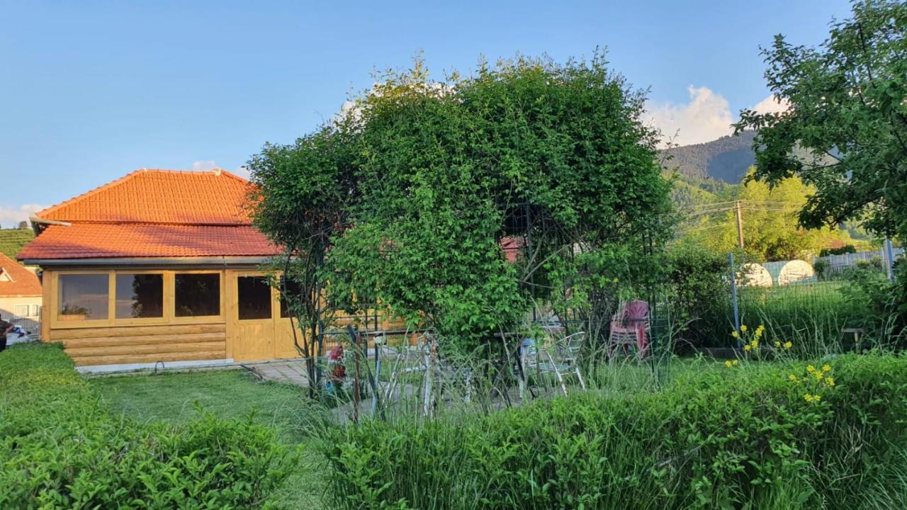 La Mosu-N Retezat Guest House Nucsoara  Exterior photo