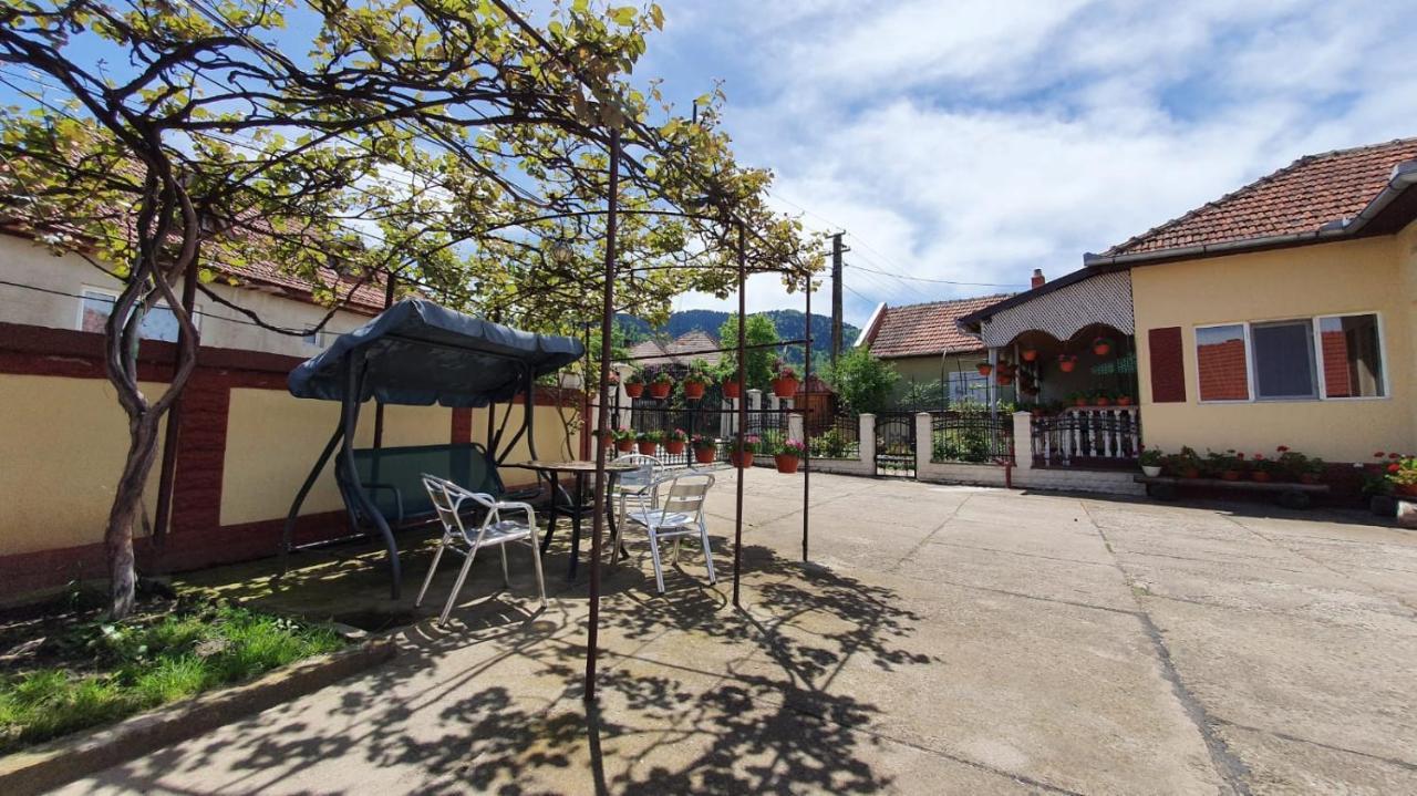 La Mosu-N Retezat Guest House Nucsoara  Exterior photo