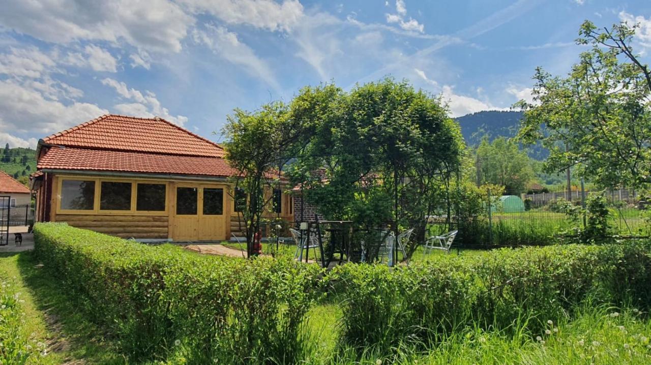 La Mosu-N Retezat Guest House Nucsoara  Exterior photo