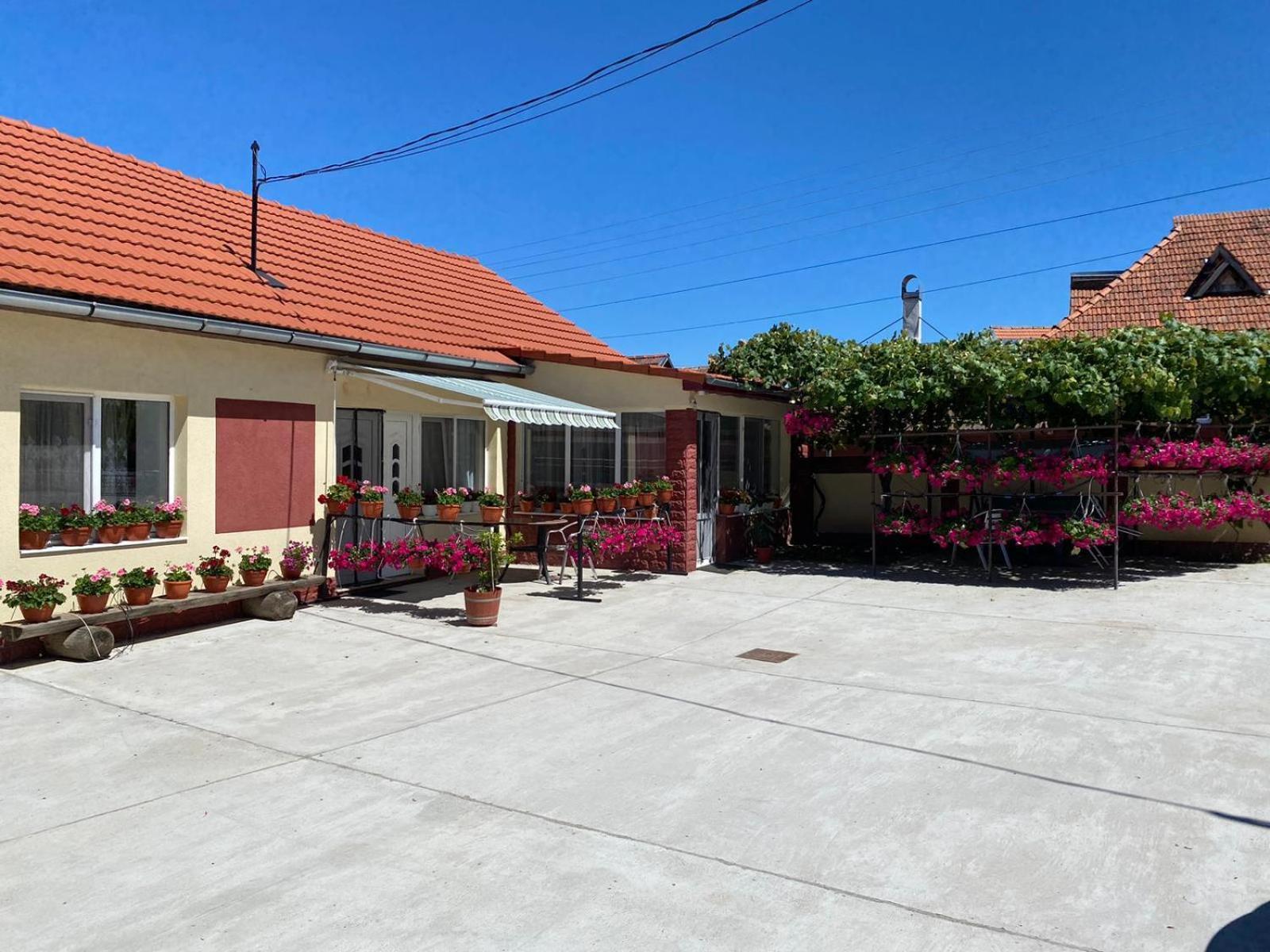 La Mosu-N Retezat Guest House Nucsoara  Exterior photo