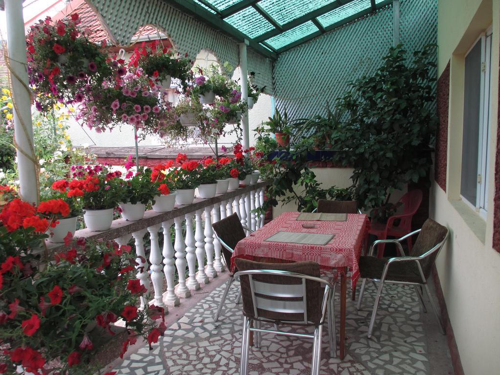 La Mosu-N Retezat Guest House Nucsoara  Exterior photo