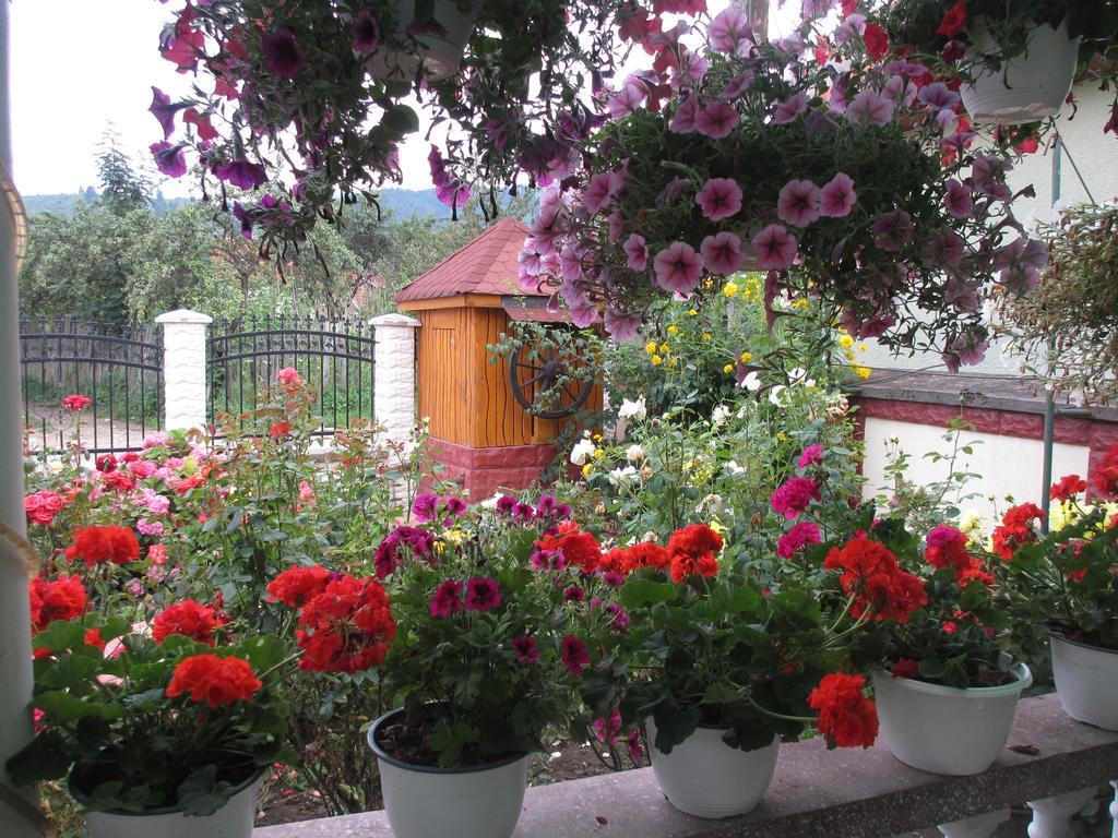 La Mosu-N Retezat Guest House Nucsoara  Exterior photo