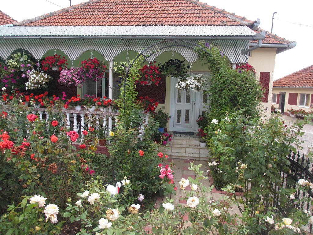 La Mosu-N Retezat Guest House Nucsoara  Exterior photo
