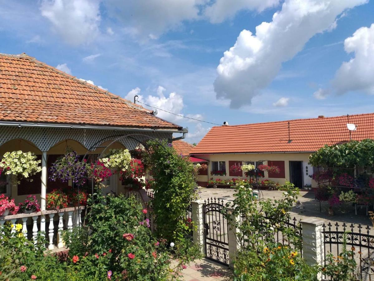 La Mosu-N Retezat Guest House Nucsoara  Exterior photo